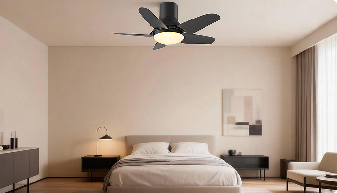 Ceiling Fan